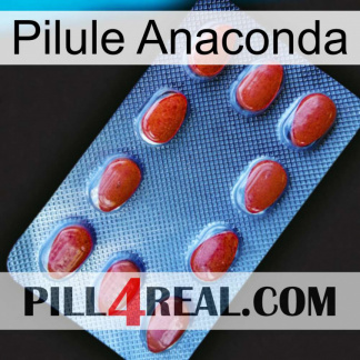 Anaconda Pill 06